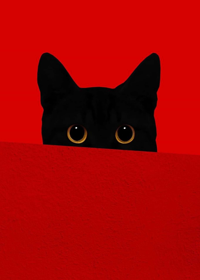 Black Cat Peeking Over Red Wall