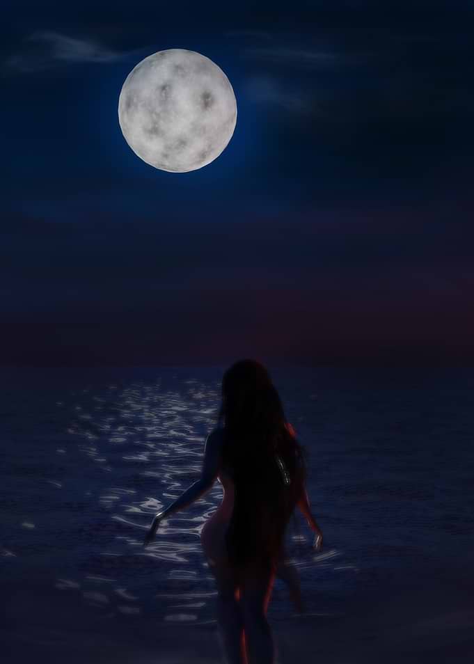 Summer Freedom - Part 4: Moonlight
