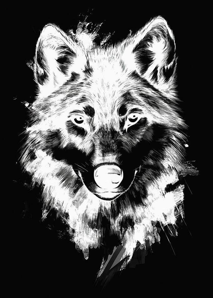 Black and White Wolf Portrait
