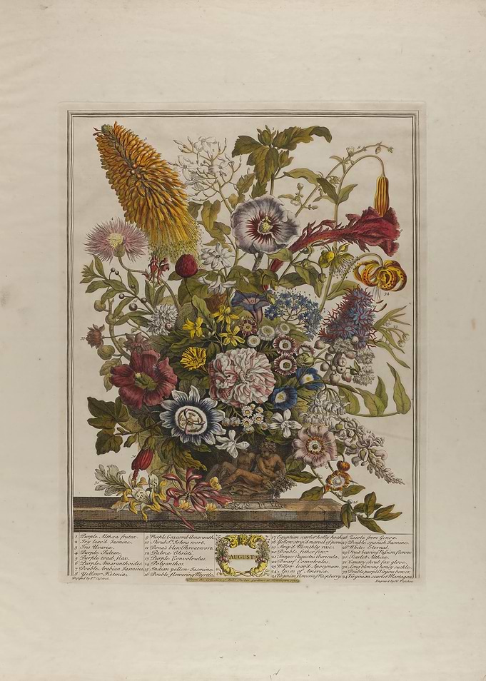 Vintage Botanical August Floral Arrangement Print Bouquet