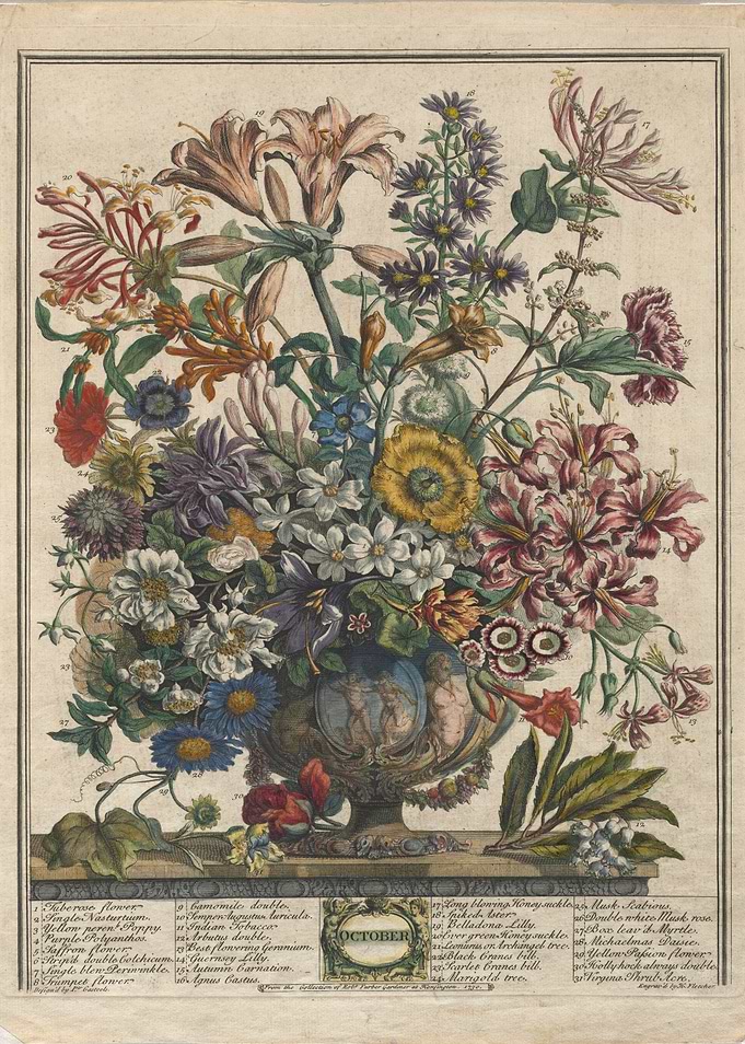 Vintage Botanical October Flower Arrangement Print