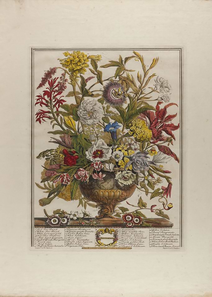 Vintage Botanical October Floral Arrangement Print