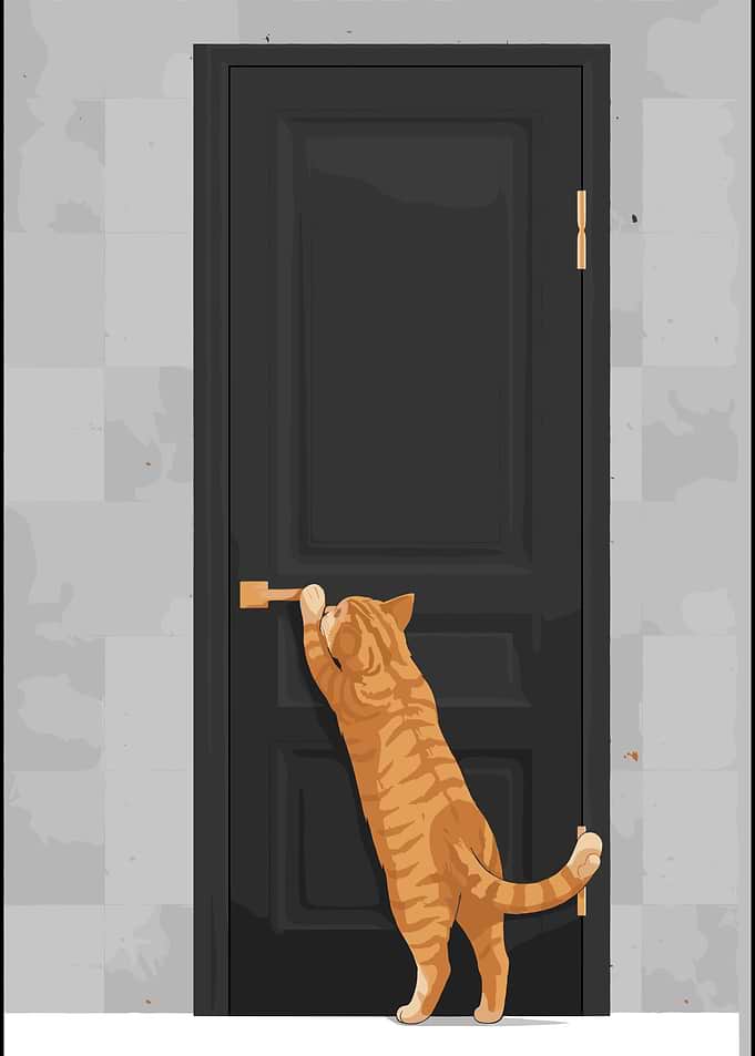 Ginger Cat Trying to Open Door