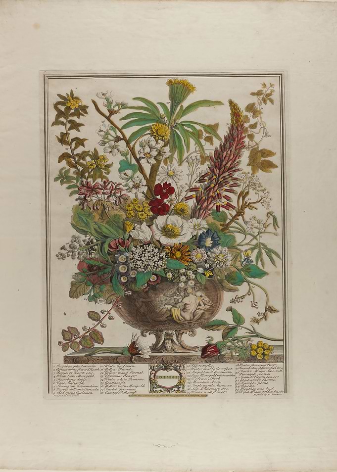Vintage Botanical December Floral Arrangement Print