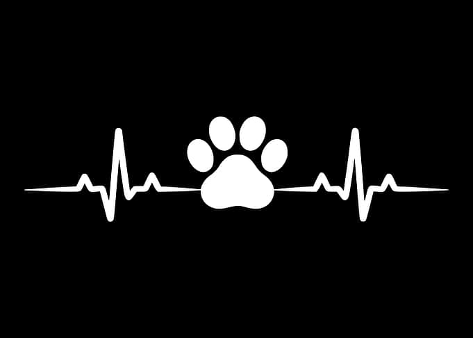 Dog Paw Heartbeat EKG Line