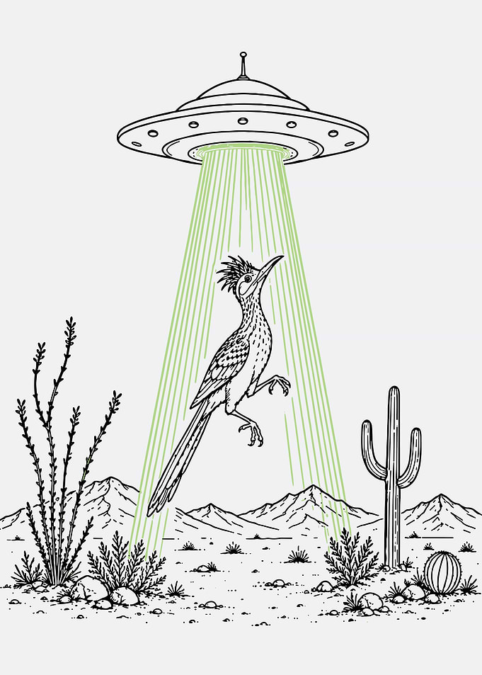 Roadrunner Abducted by UFO