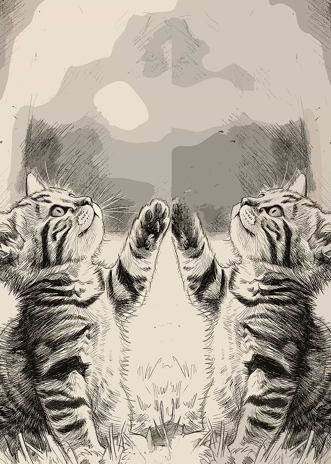 Mirror Image Tabby Kitten Sketch