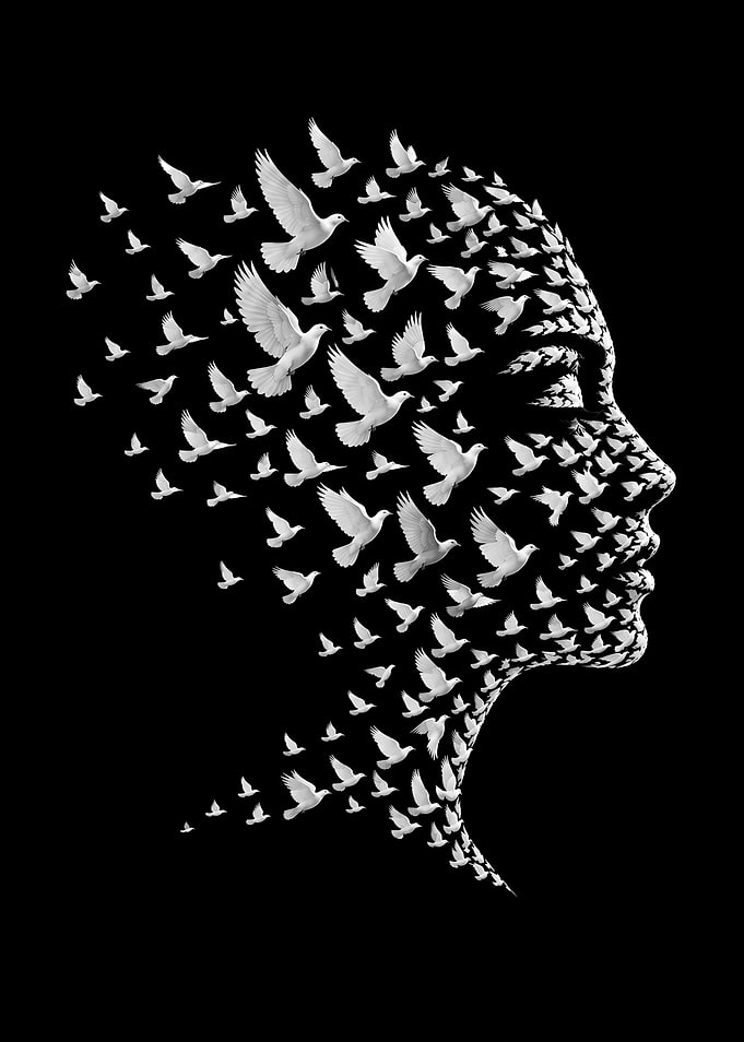Human Profile Formed by Flying Doves
