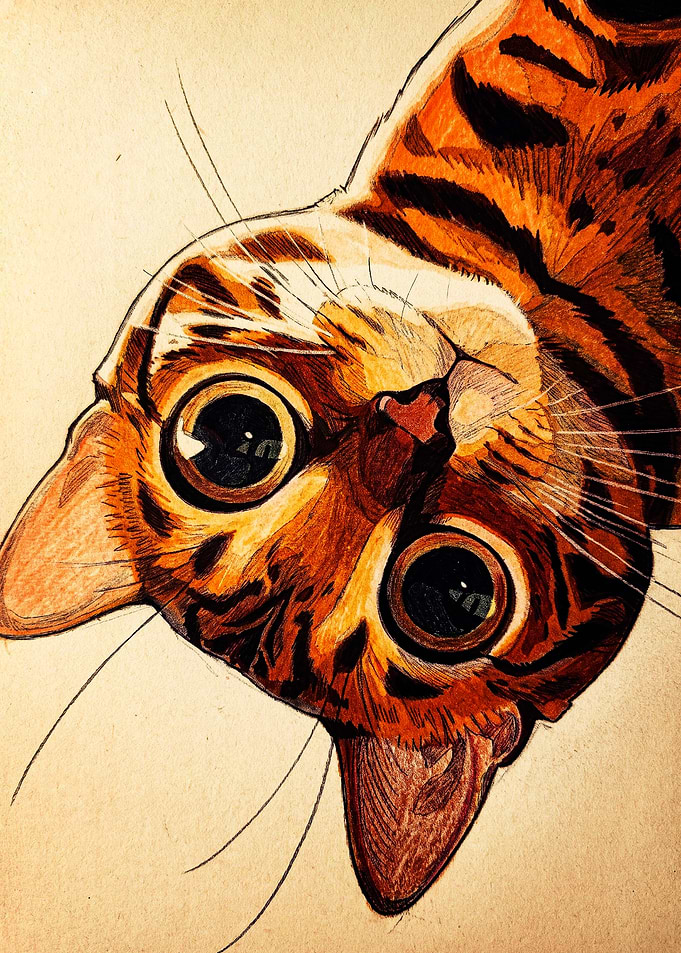 Close-up Portrait of a Tabby Cat
