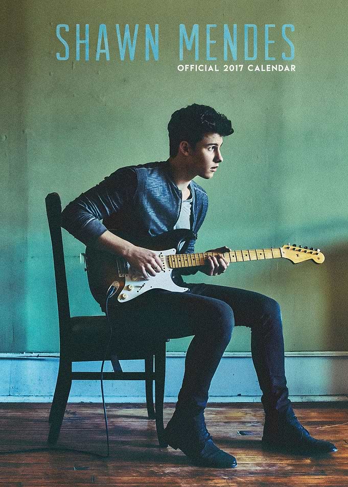 Shawn Mendes Official 2017 Calendar