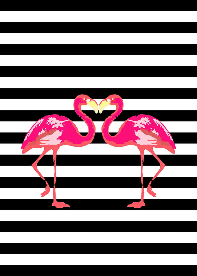Two Pink Flamingos Heart Shape