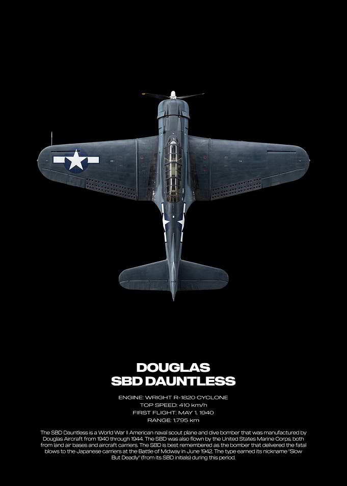 Douglas SBD Dauntless Aircraft Poster