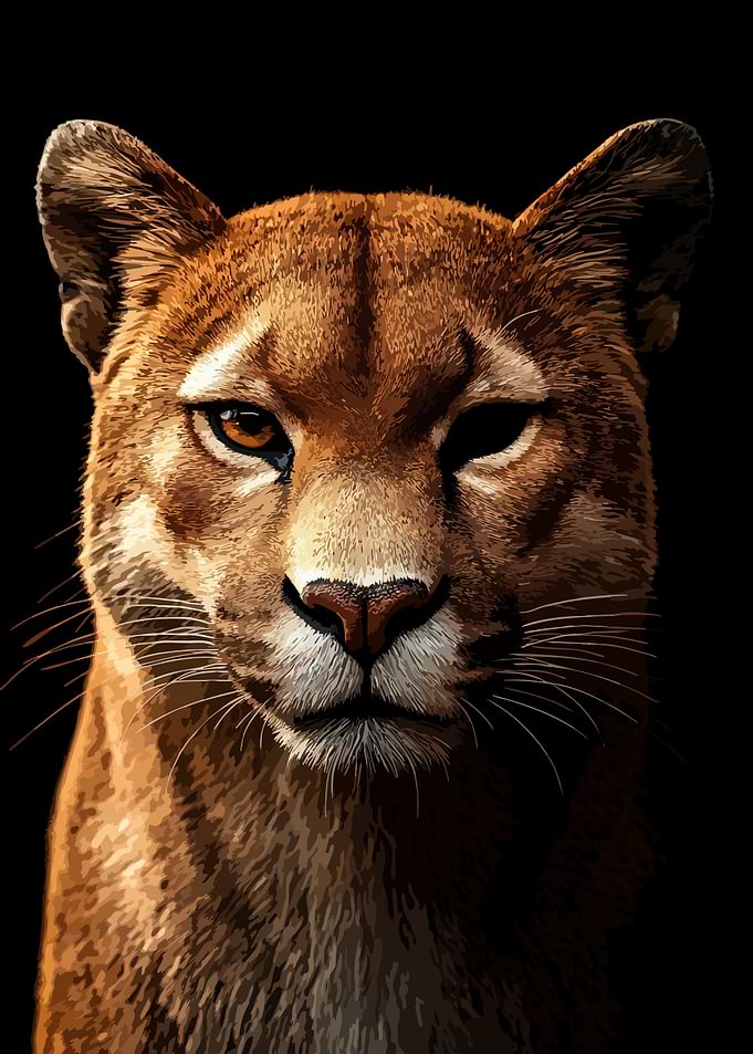 Majestic Mountain Lion Portrait