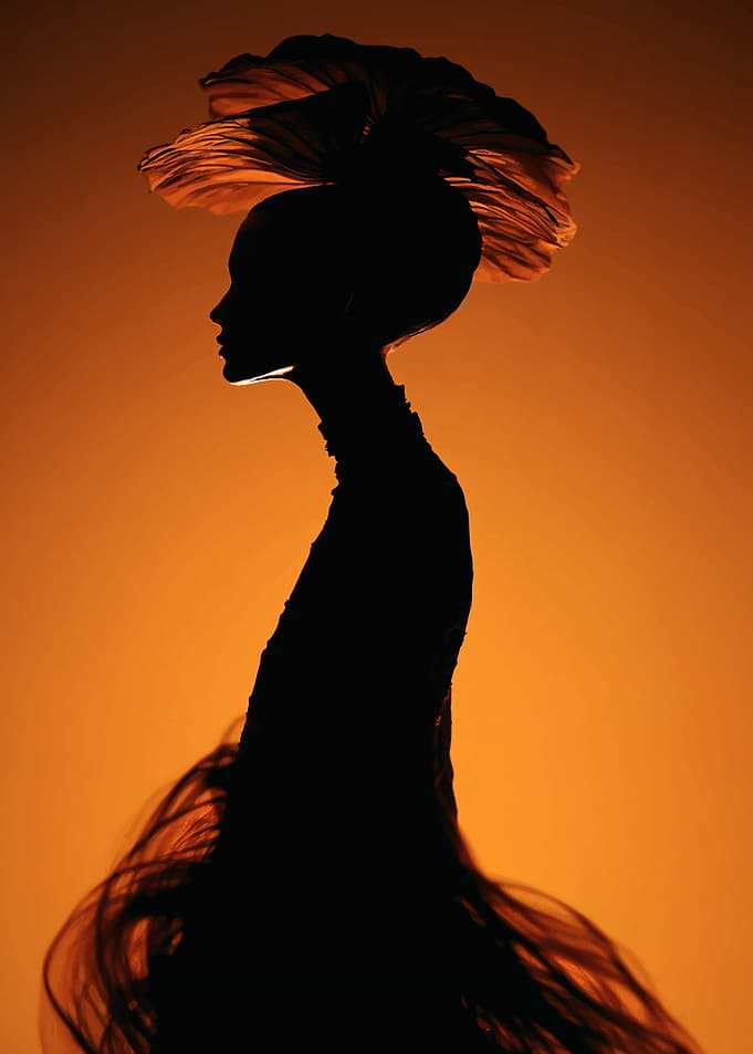Elegant Silhouette in Golden Light