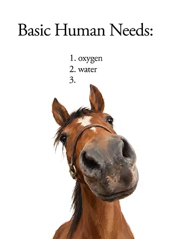Funny Horse Basic Human Needs Meme