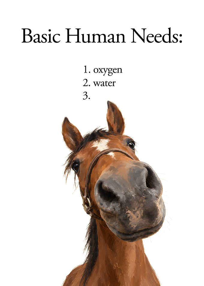 Funny Horse Basic Human Needs Meme