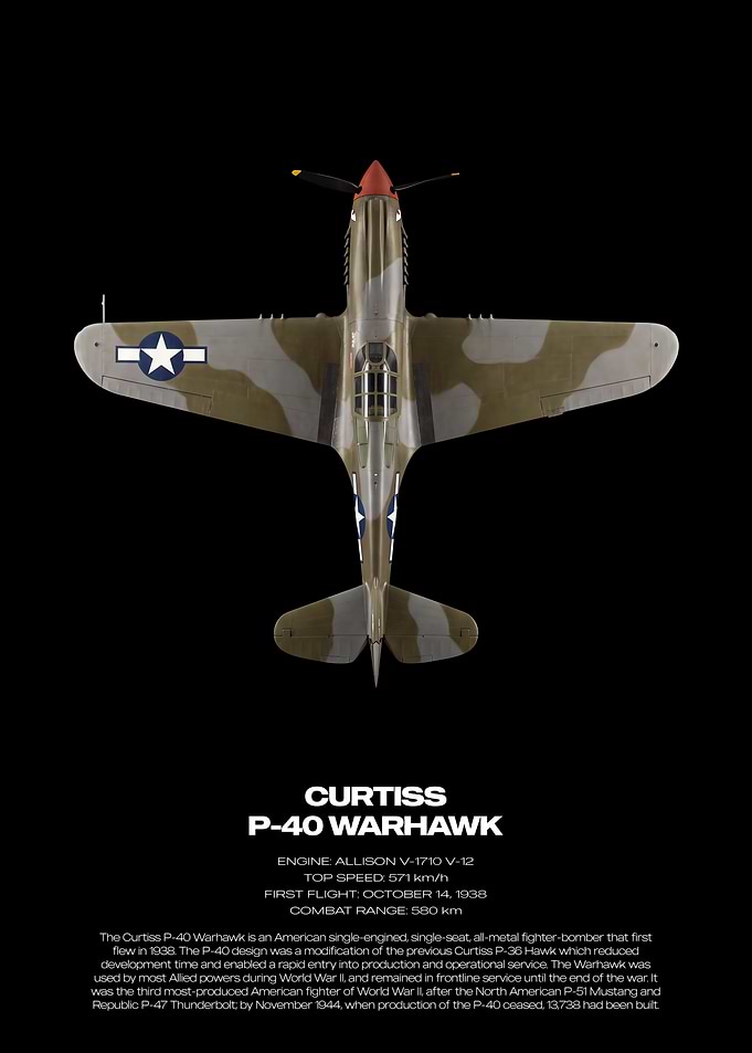 Curtiss P-40 Warhawk Technical Poster