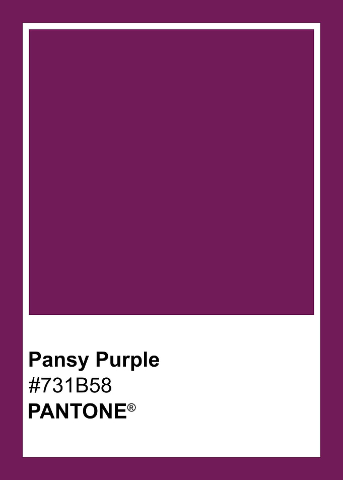 Pansy Purple Pantone Color Swatch