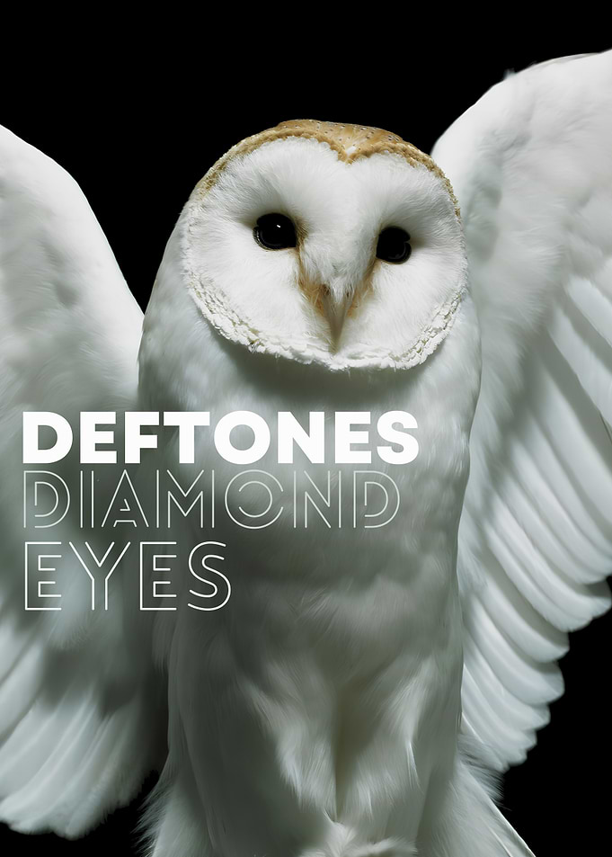 Deftones Diamond Eyes Album Cover