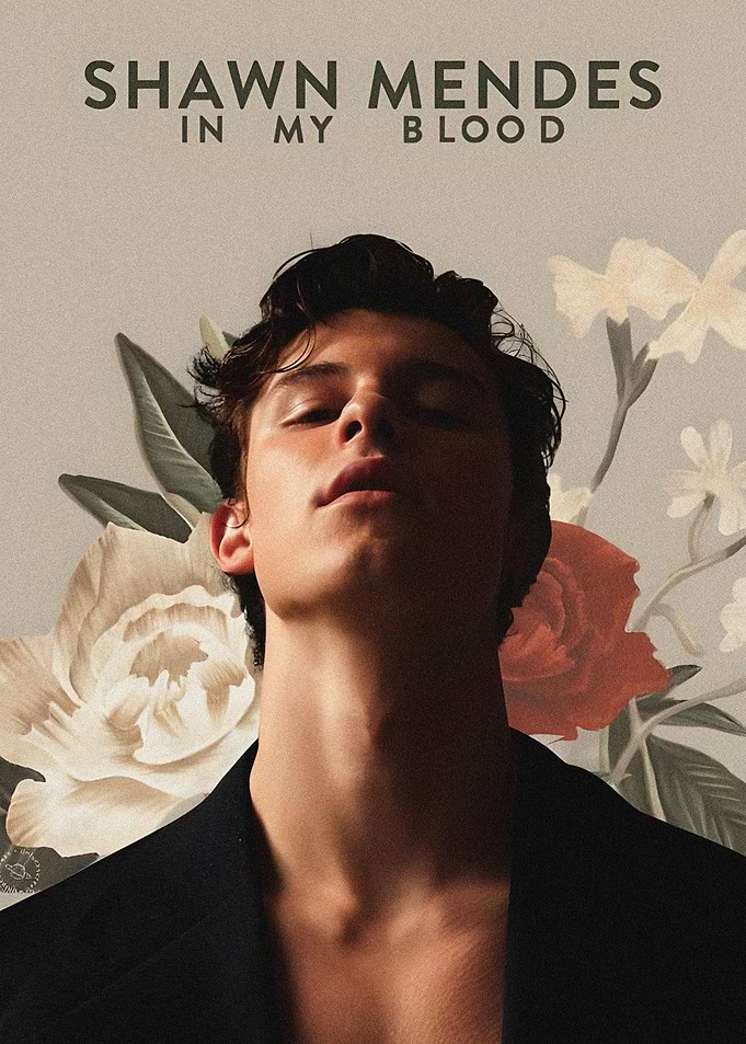 Shawn Mendes In My Blood Poster