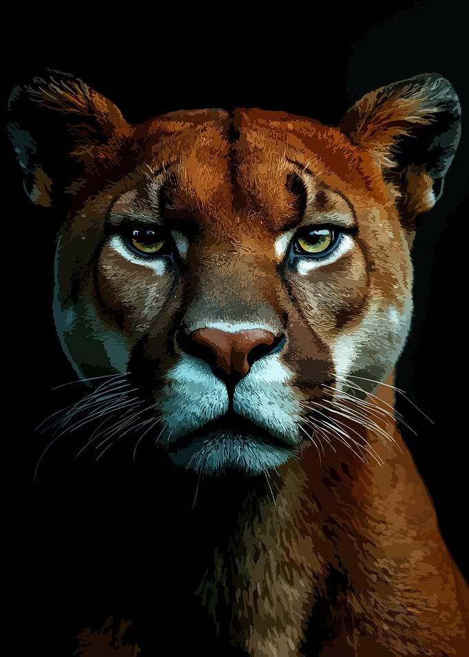 Intense Portrait of a Mountain Lion