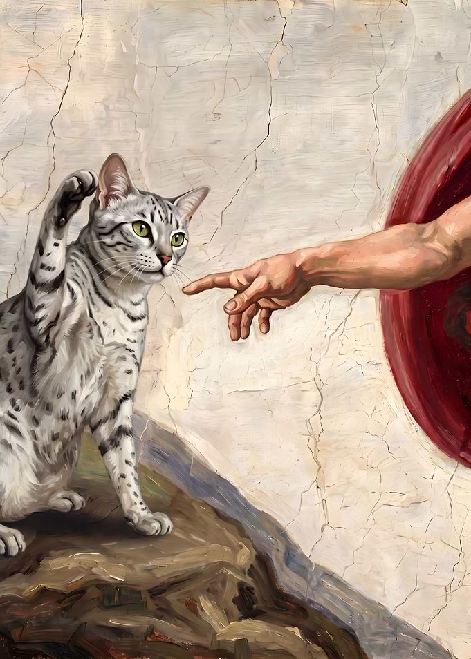 The Creation of Cat