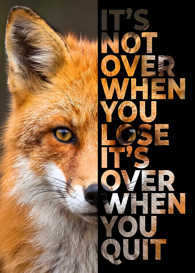 Inspirational Fox Quote Poster