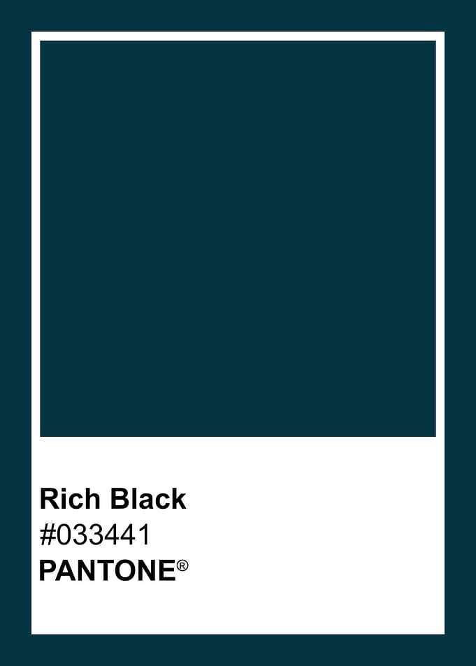 Pantone Rich Black Color Swatch