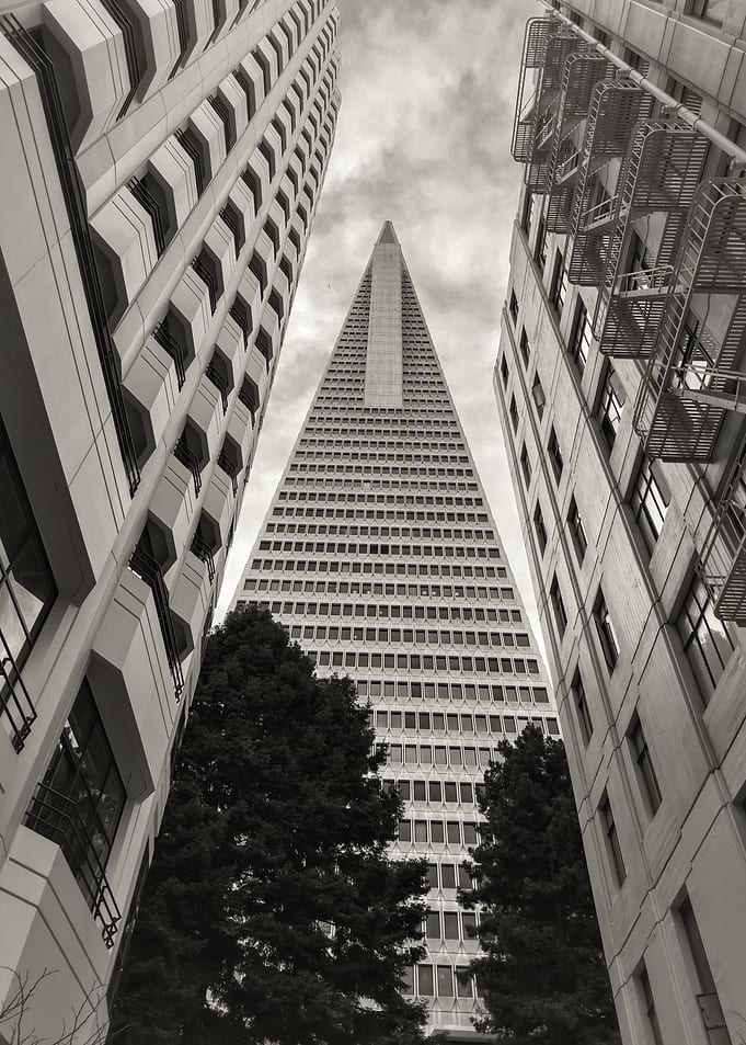 Transamerica Pyramid in San Francisco