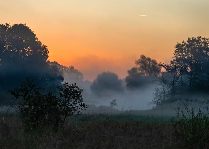 Misty Sunrise Over Forest Landscape