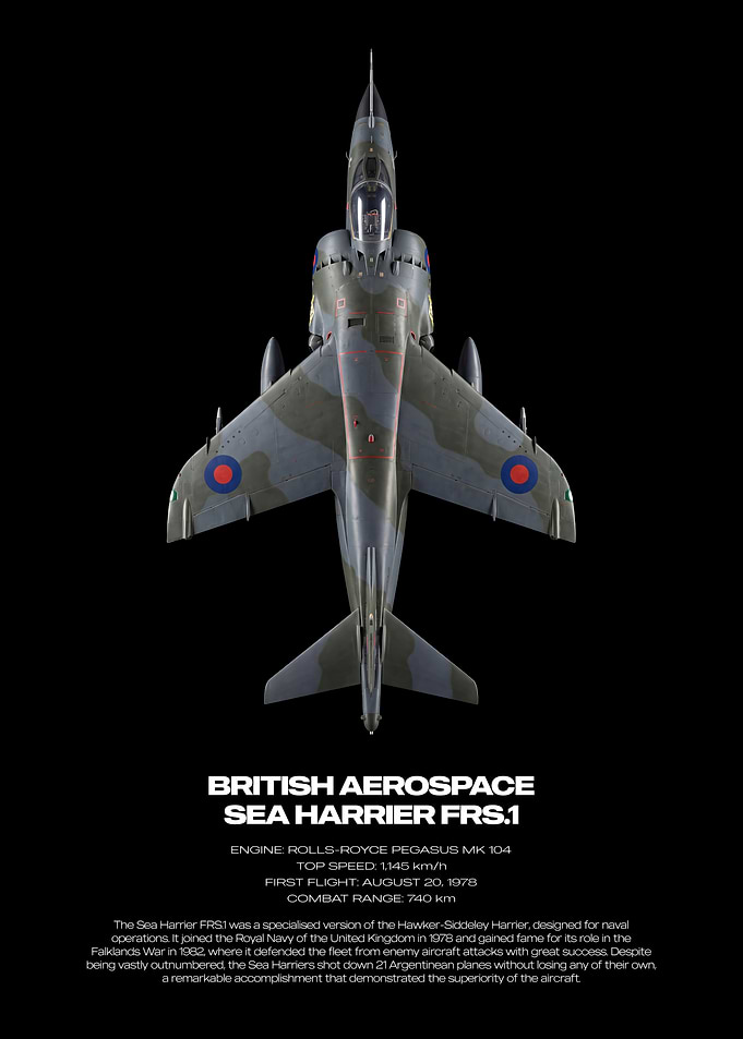 British Aerospace Sea Harrier FRS.1 Poster