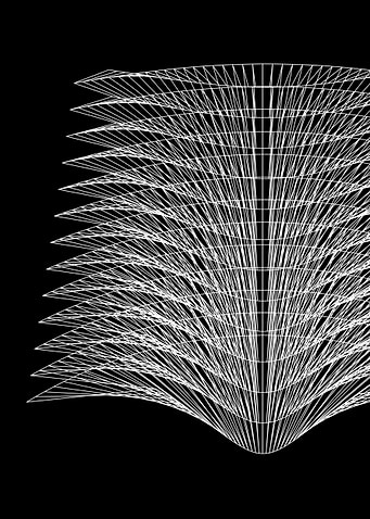 flower of symmetry