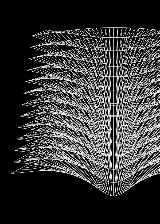 flower of symmetry