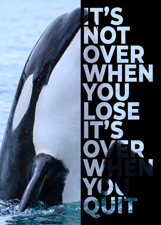 Inspirational Orca Motivational Poster