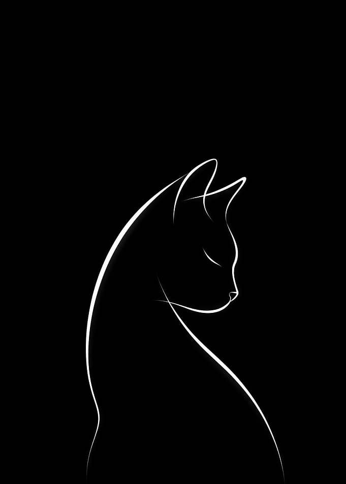 Minimalist Line Art Cat Silhouette