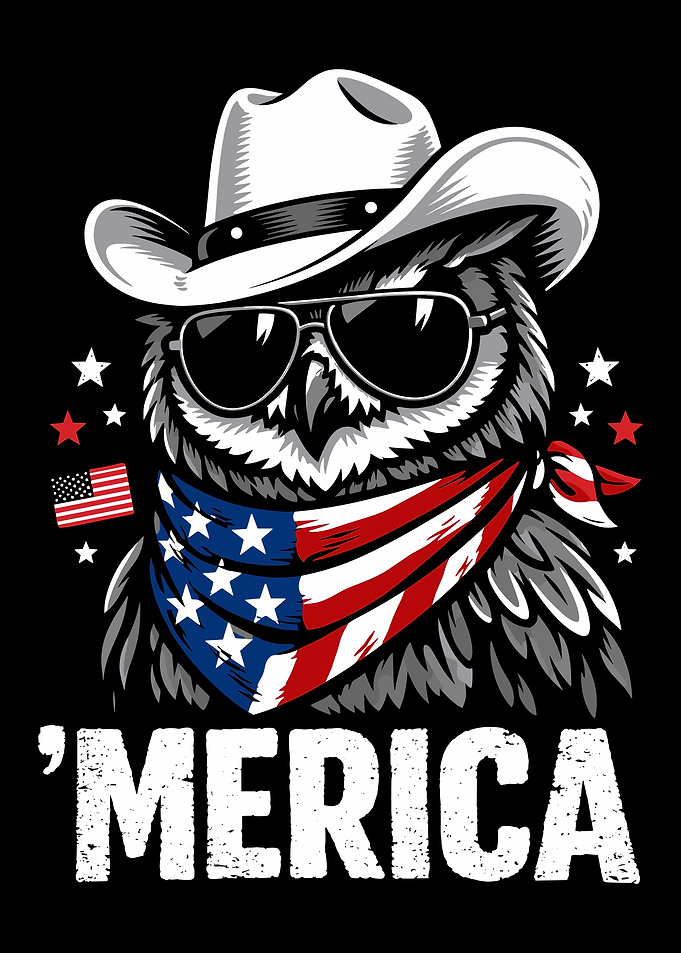 Patriotic Cowboy Owl Graphic