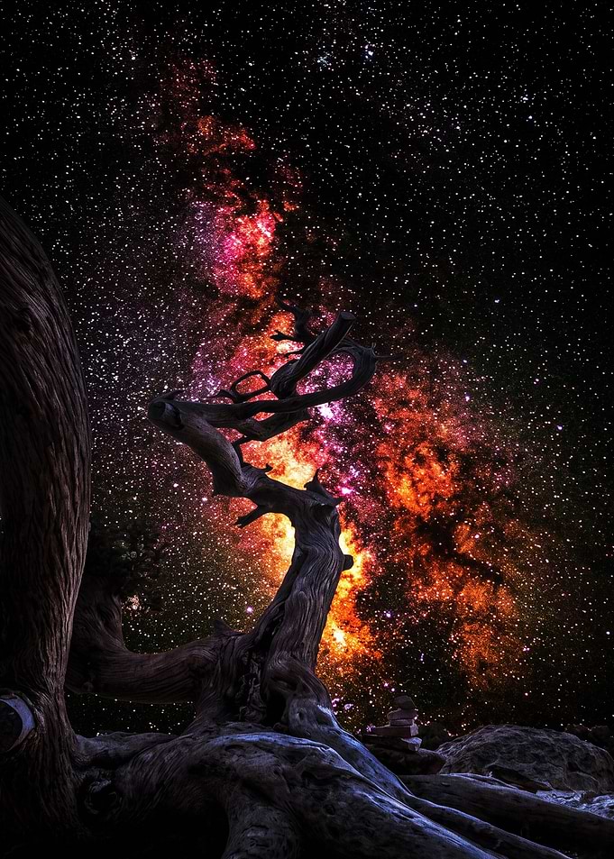 Twisted Tree Under Vibrant Galaxy