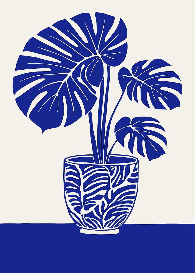 Blue Monstera Plant in Patterned Pot