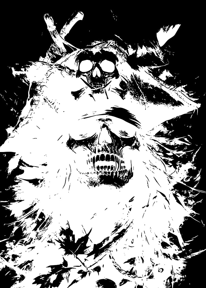High Contrast Pirate Skull Illustration