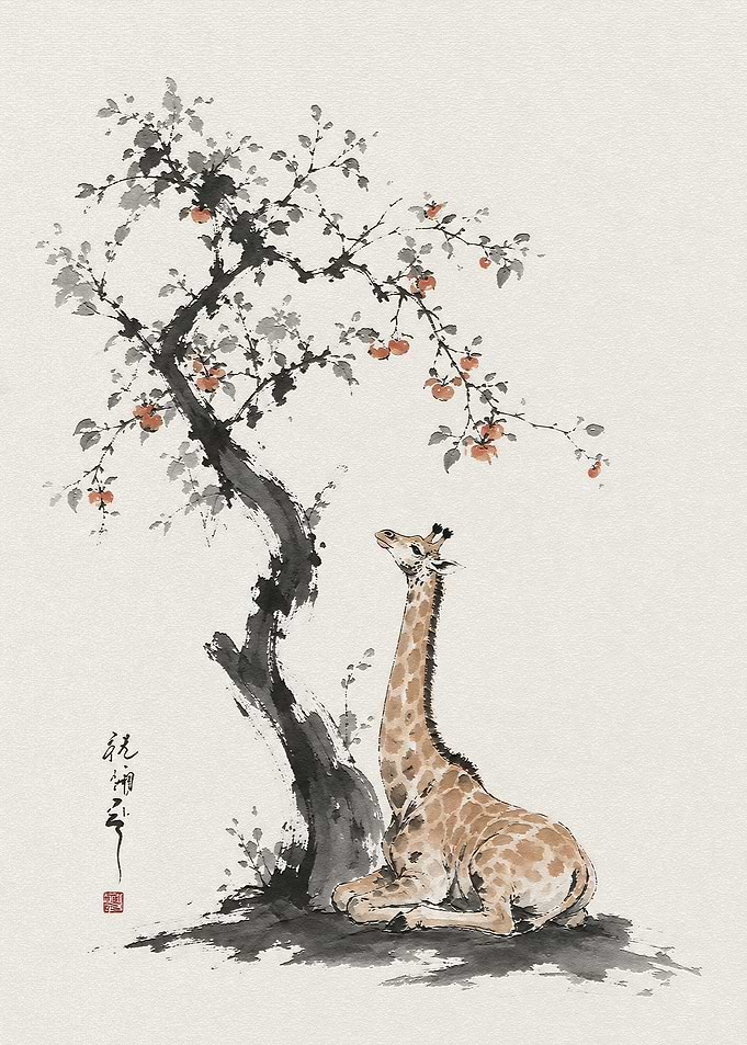 Giraffe Resting Under Persimmon Tree