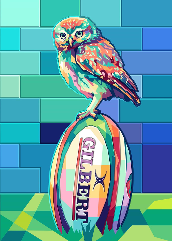 Pop Art Owl on Rugby Ball