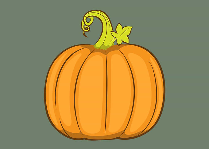 Pumpkin Illustration