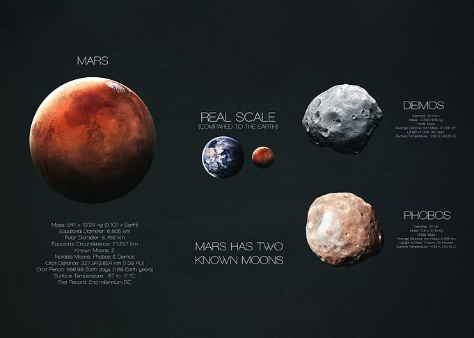 Mars and Its Moons Infographic