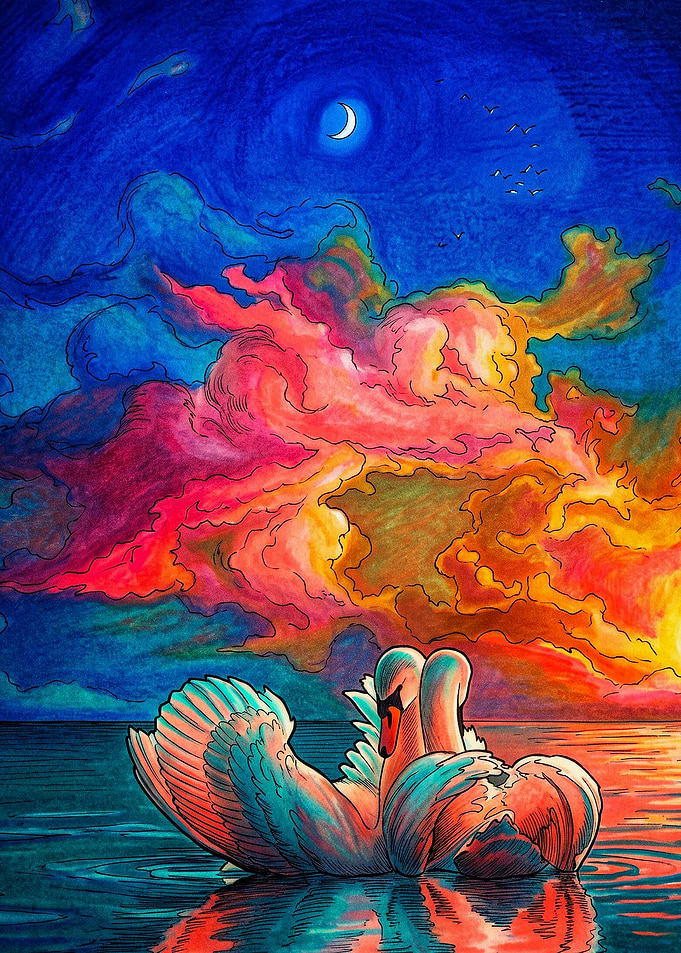 Two Swans Under Vibrant Sunset Sky