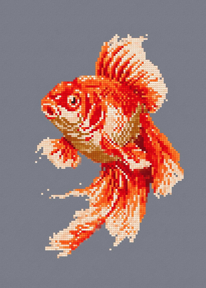 Pixel Art Goldfish Illustration