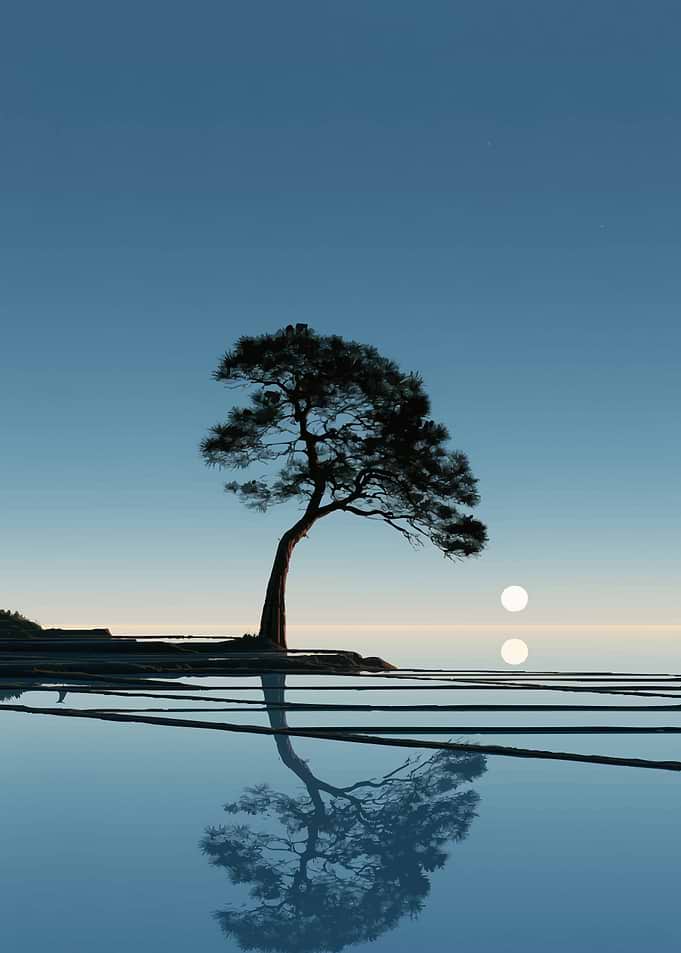 Solitary Tree Over Reflective Water