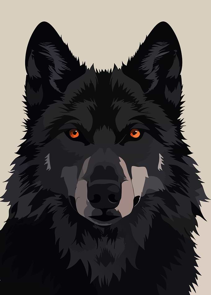 Vector Illustration of a Black Wolf