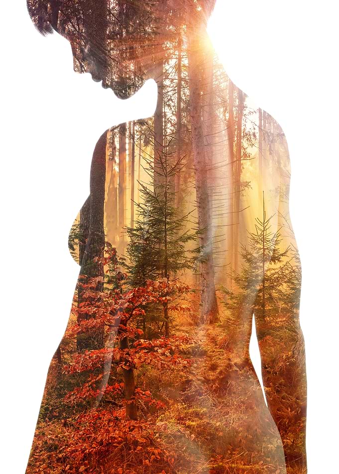 Double Exposure Forest Silhouette