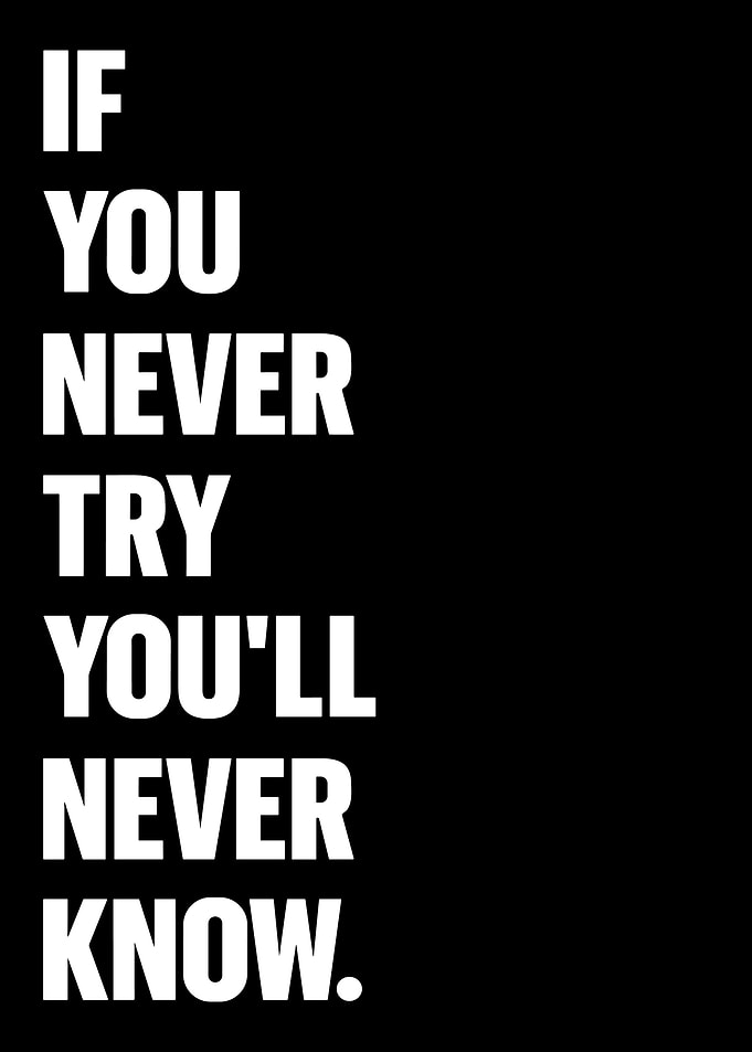 If You Never Try You'll Never Know