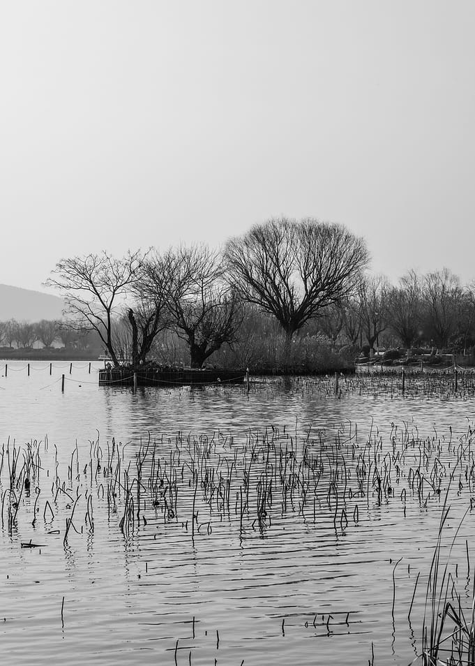 Serene Black and White Lake Landscape